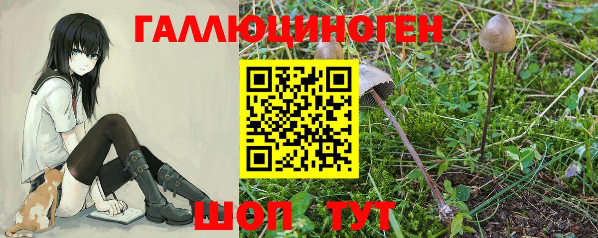 Псилоцибиновые грибы MAGIC MUSHROOMS Рославль